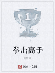 拳擊高手