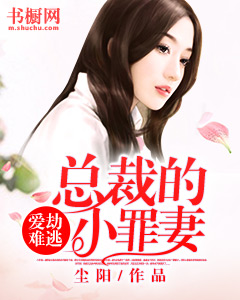愛劫難逃：總裁的小罪妻