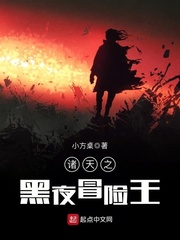 諸天之黑夜冒險王