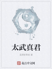 太武真君 太武真君