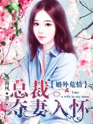 婚外危情:總裁奪妻入懷 婚外危情:總裁奪妻入懷