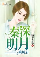 秦深明月乘風去