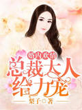 婚內歡情：總裁大人給力寵