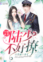 軍婚夜襲：陸少，不好撩！
