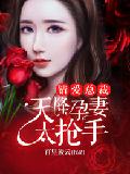 錯愛總裁：天降孕妻太搶手