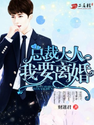 總裁大人，我要離婚