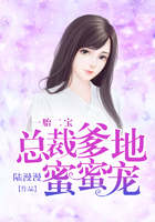 一胎二寶：總裁爹地蜜蜜寵