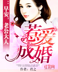 惹愛成婚：早安，老公大人
