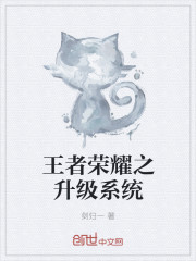 王者榮耀之升級係統