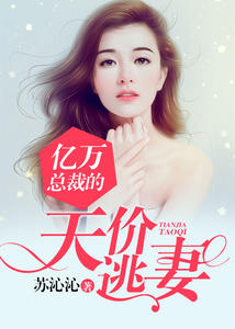 億萬總裁的天價逃妻 億萬總裁的天價逃妻