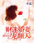 傅少V5：財迷嬌妻寵翻天