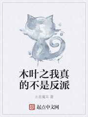 木葉之我真的不是反派