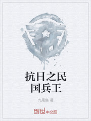 抗日之民國兵王