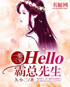 一胎三寶：hello，霸總先生