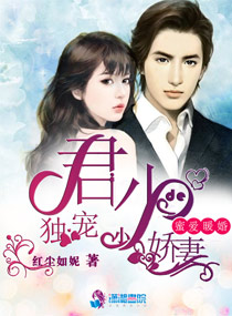 暖婚蜜愛：君少獨寵小嬌妻