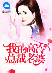 我的高冷總裁老婆