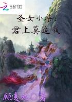 聖女小柒：君上莫追我