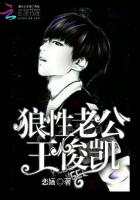 狼性老公王俊凱