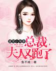 盛寵小淘妻：總裁，夫人又跑了