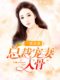 一夜貪歡:總裁寵妻入骨 一夜貪歡:總裁寵妻入骨