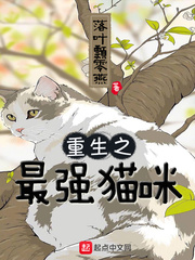 重生之最強貓咪