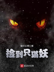 撿到隻貓妖