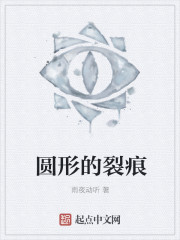 圓形的裂痕