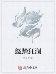 怒踏狂瀾