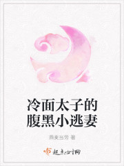 冷麵太子的腹黑小逃妻