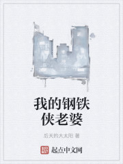 我的鋼鐵俠老婆