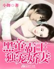 黑帝霸主的獨寵嬌妻