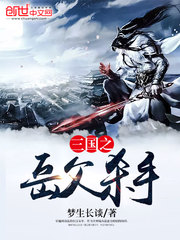 三國之嶽父殺手