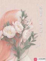 蘇先生，晚上好！