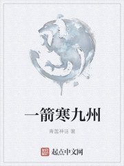 一箭寒九州