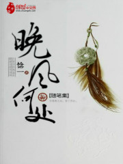 晚風何處