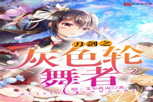 刀劍神域之灰色輪舞者