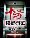 十三號秘密檔案 十三號秘密檔案