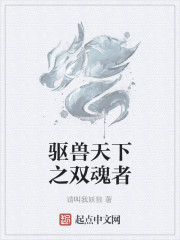 驅獸天下之雙魂者 驅獸天下之雙魂者
