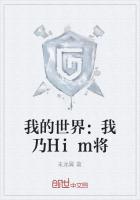 我的世界：我乃Him將