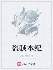 盜賊本紀