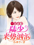 一寵成癮：陸少來勢洶洶