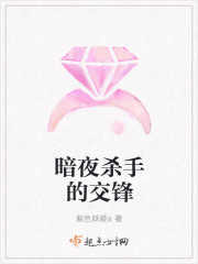暗夜殺手的交鋒