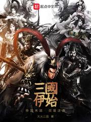 三國春秋——伊始