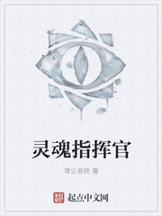 靈魂指揮官