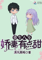 重生八零有點鹹