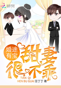 婚途有寶