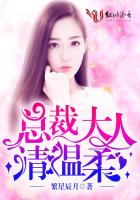 總裁大人，請溫柔