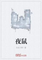 夜鼠