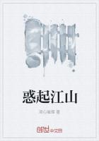 惑起江山