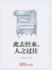 此去經來，人之過往